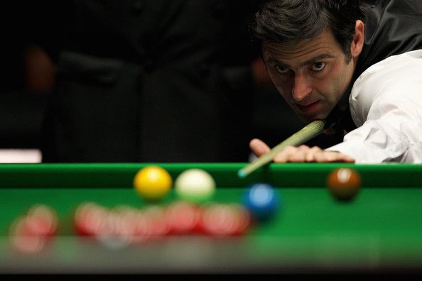 起的新星将 起的新星将